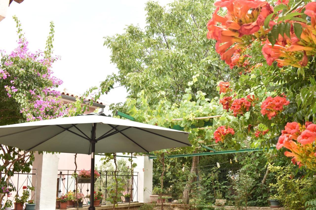 Holiday House Letizia Premantura Buitenkant foto